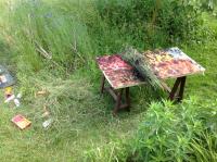 Thierry Feuz - Tisch und Gras